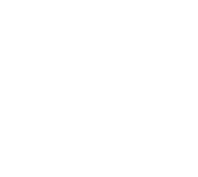 ISO 9001 Logo